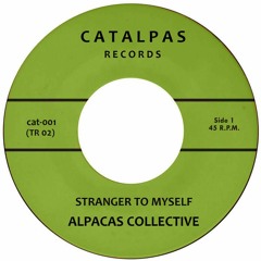 Alpacas Collective - Stranger To Myself