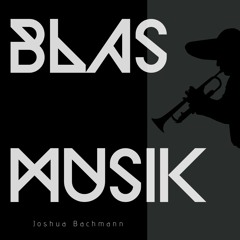 Joshua Bachmann - Your Blow My Mind With Blasmusik (Orginal Mix)