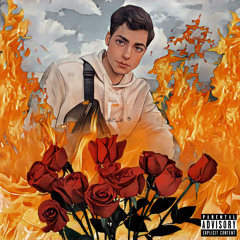 Out Of Roses (Alan Walker & Jamie Miller) [Remix]