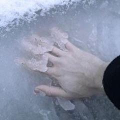 падик