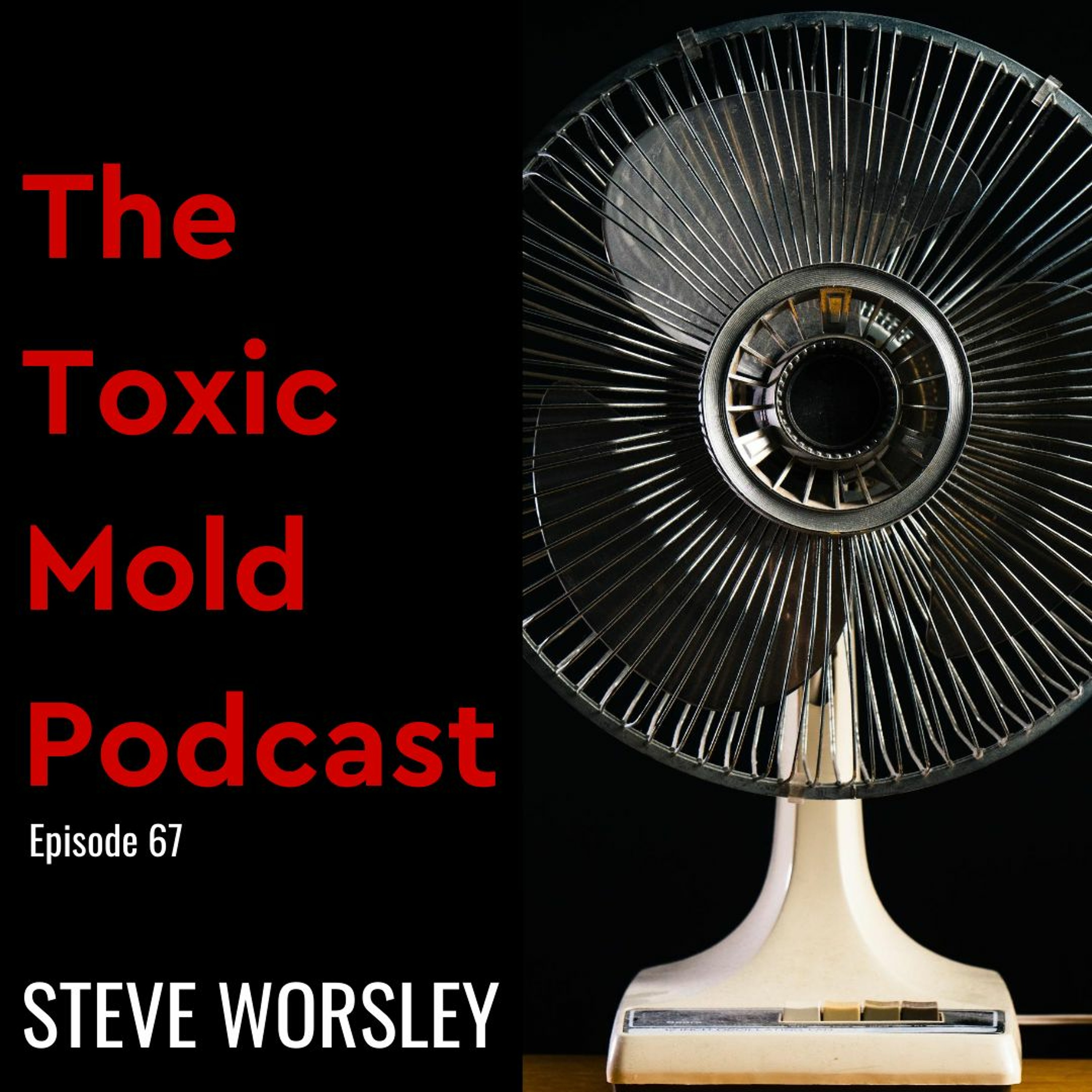 The Toxic Mold Podcast