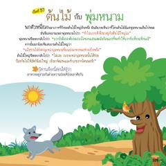 097 ต้นไม้กับพุ่มหนาม