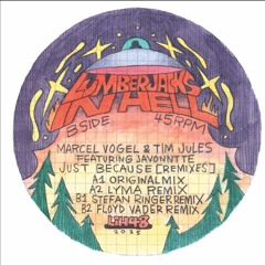 DC Promo Tracks: Marcel Vogel & Tim Jules ft Javonntte "Just Because" (Floyd Vader Remix)