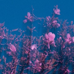 Ahab - 1:23:21, 12.00 AM