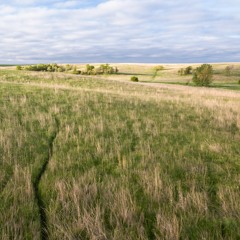 Dawn chorus on an ancient prairie -- Neal Smith National Wildlife Refuge, Iowa, U.S.A.