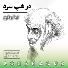 نیما یوشیج | در شب سرد | صدای احمد کیایی