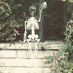 die die die my darling -  on accordion (misfits cover)