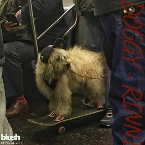 DOGGY (song cover)