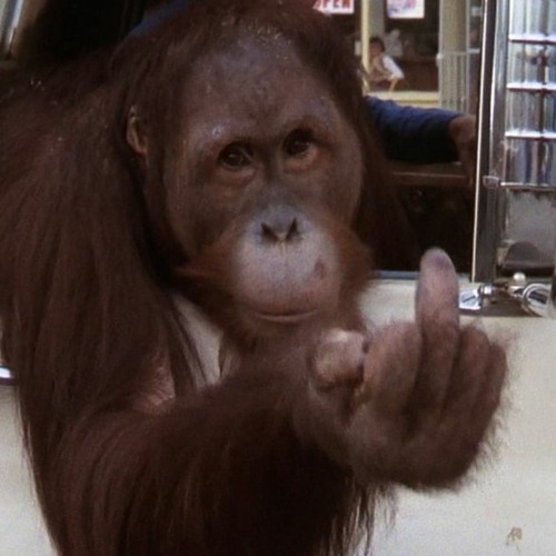 Every Which Way But Loose (Eddie Rabbitt)