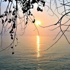 The Sounds Of Nature
