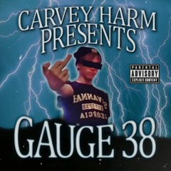 CARVEY HARM - GAUGE 38