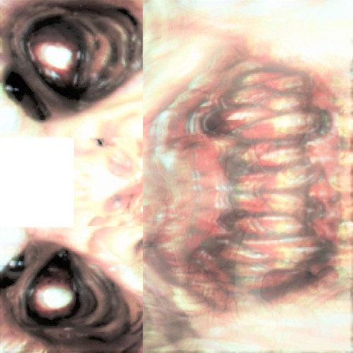 Every Day Is Filled With So Much Love