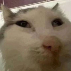 PIXIES (Blaketheman1000 cover)