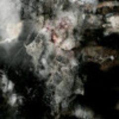 @1313, dollmight - Sieh, wie wir gehen