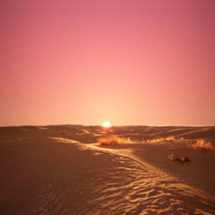 DESERT DAWN