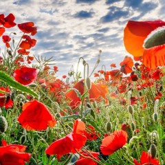 Blest Be the Dear Uniting Love