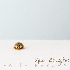 Benim Şansım Sensin