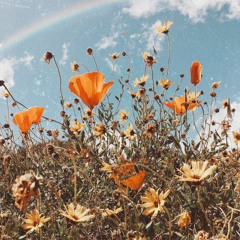 See wind