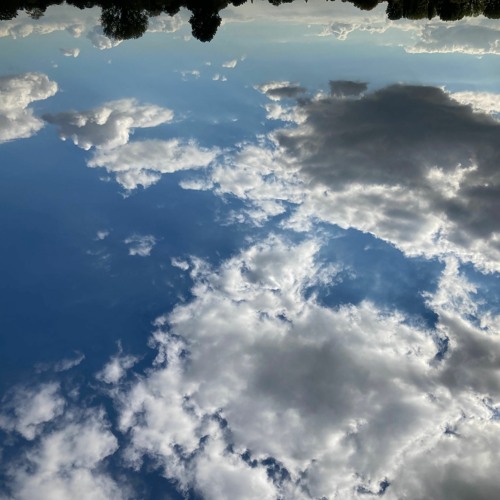 Lux (Light) comp. & perf. michael spielmann