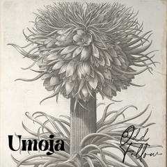 Odd Fellow - Umoja