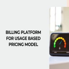 Billing Platform For Usage Based Pricing Model