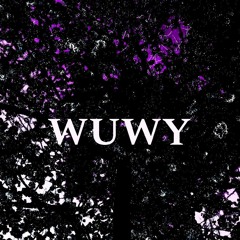 WUWY (prod. 30nickk)