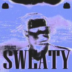 ZProject - Sweaty