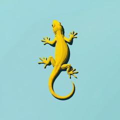 Yellow Lizard