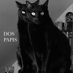 Dos Papis - 1 Night in Boliche | 02.25