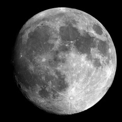 Mr. Moon