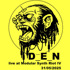 Live At Modular Synth Riot 4