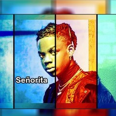 Rema x Afrobeat "Señorita" Afro Type Beat Instrumental