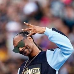 Snoop Dogg Ft. Pharrell Williams - Drop It Like Is Hot (Vibe Kontrol Remix)
