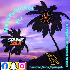 Miami Pump 2k24 (Carnival Wrap Up)