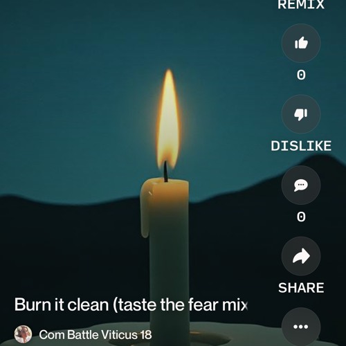 burn-it-clean-(taste-the-fear-mix).mp3