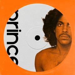 PRINCE DUB