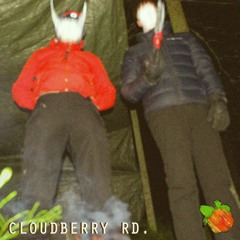 Yung Lean x Bladee Type Beat