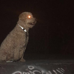 FILTHY SHIT feat Charlie