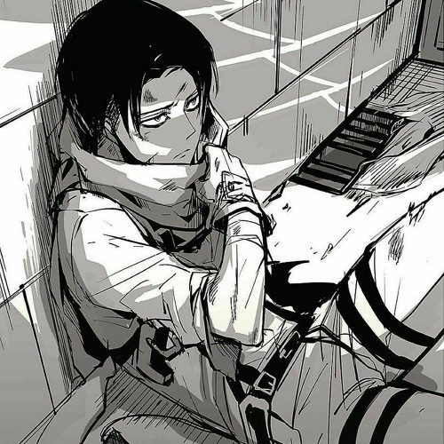 Levi x listener - Levi's sexual orientation?.. (akiradubs)