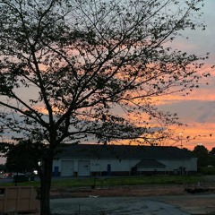 Let Him kiss me with the kisses of His mouth