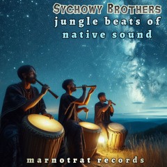 Sychowy Brothers - jungle beats of native sound