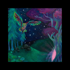 TYPE BEAT - BOOM BAP - INSPIRATION