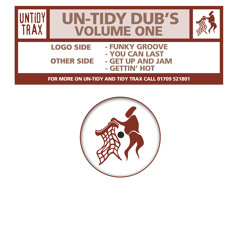 Untidy Dubs - Funky Groove (Original Edit)