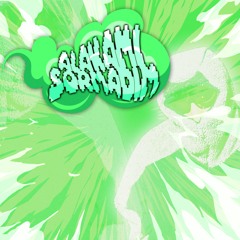 ALAKAMI SORMADIM [DEMO]