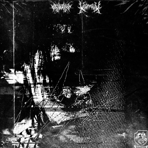 HALLUCINOGENIC WHISPERS [w/ KRVMPUX]