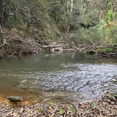 Cigarettes By The Creek