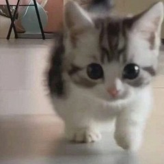 <3