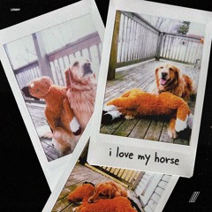 LENNY - i love my horse [VIBRANCY]