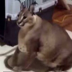 lil peep - nuts (slowed & reverb)