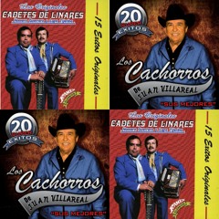 Cadetes de Linares Ft  Cachorros  de Juan Villareal Mix